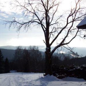 DSCF0811.jpg