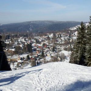 DSCF0855.jpg
