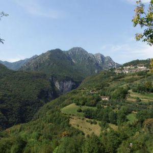 DSCF4053.jpg