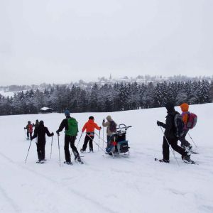 DSCF6166.jpg