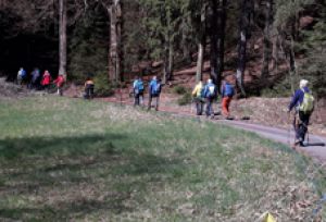 Elsterperlenweg 2.jpg