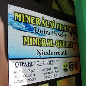 IMG_8260.jpg