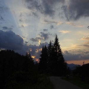 DSC01576_02.jpg