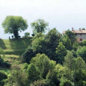 DSCF3991.jpg