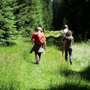 DSCF8581.jpg