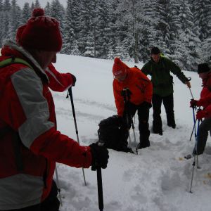 IMG_7406.jpg