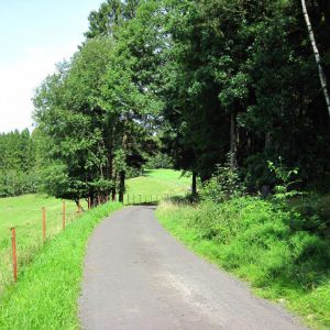 IMG_8279.jpg
