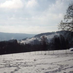 DSCF0804.jpg