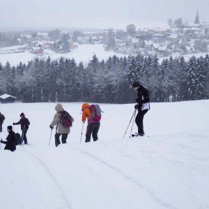 DSCF6162.jpg
