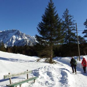 DSCF7004.jpg
