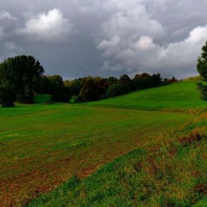 DSCF9391.jpg