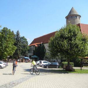 DSCN7233.jpg