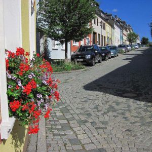 IMG_0696.jpg