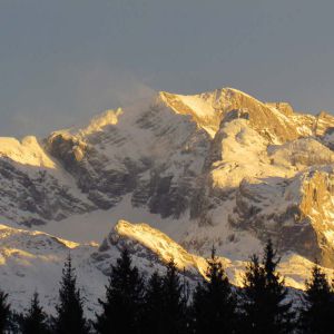 IMG_4540.jpg