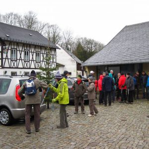 IMG_7293.jpg