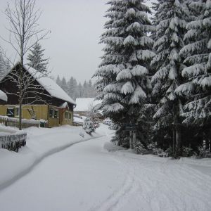 IMG_7404.jpg