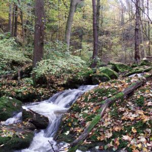 Kleppergrund 29.10 (3).jpg