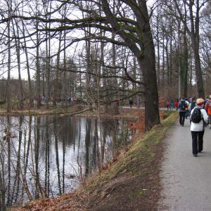 010.jpg
