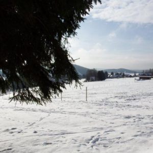 DSCF0808.jpg