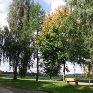DSCF9409.jpg