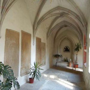 DSCN7235.jpg