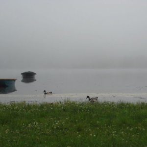 IMG_6286.jpg