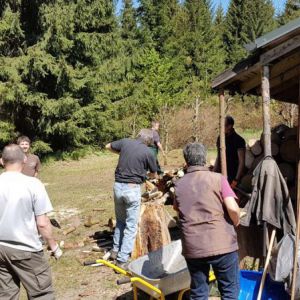 20180505_114233.jpg