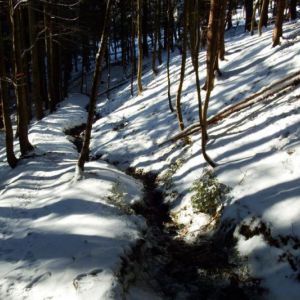 DSCF0831.jpg