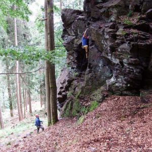 DSCF8660.jpg