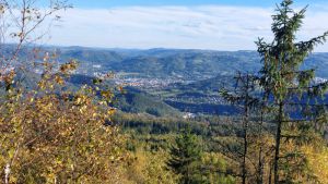 IMG-20231022-WA0002.jpg