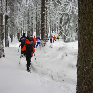 IMG_7418.jpg