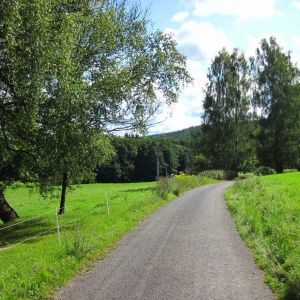 IMG_8248.jpg