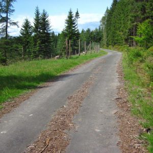 IMG_8275.jpg