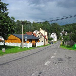 IMG_8290.jpg
