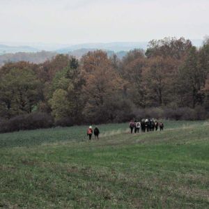 IMG_A (16).jpg