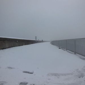 picture-0011.jpg