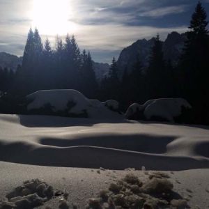 20160207_090859.jpg