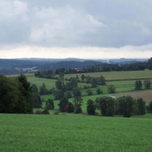DSCF9394.jpg