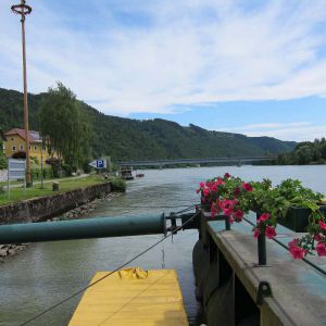 IMG_0176.jpg