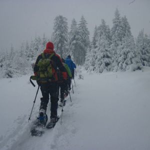 IMG_7440.jpg