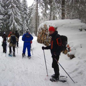 IMG_8597.jpg