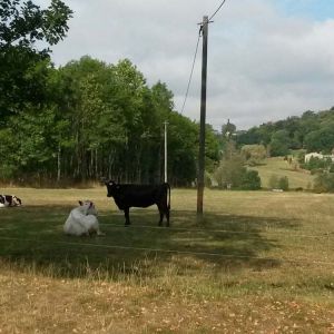 3 Impressionen vorm Start.jpg