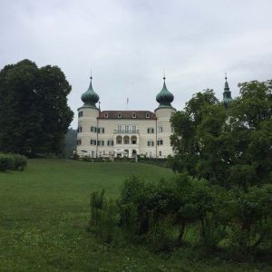 IMG_1361.jpg