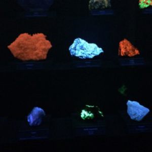 IMG_1938.jpeg