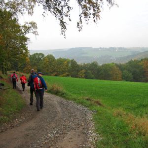IMG_7227.jpg