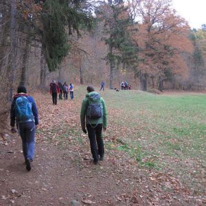 IMG_A (14).jpg