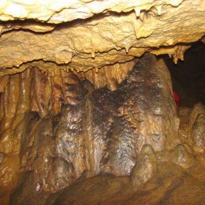 IMG_4446.jpg