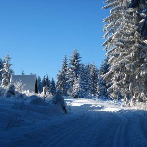 IMG_5616.jpg