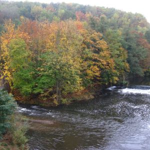 IMG_7223.jpg