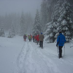 IMG_7422.jpg